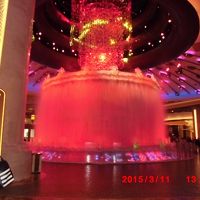 ショーが始まりました。