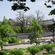 昌徳宮を見下ろせます