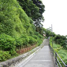 紫陽花が咲いていない参道