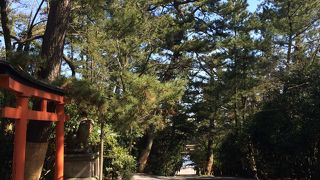 安宅の関趾とセットで