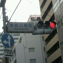 公園の北西端の角にある東郷公園前の標示のある信号です。