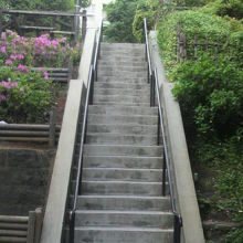 設立の時期的な差異から公園には高低差があり、階段があります。