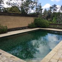 とっても広いプール