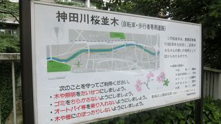 神田川とは思えぬ光景が続く