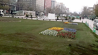 悪天候で満喫できず