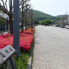 つつじが鮮やか。