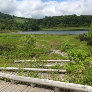 大沼のまわりはツツジが満開