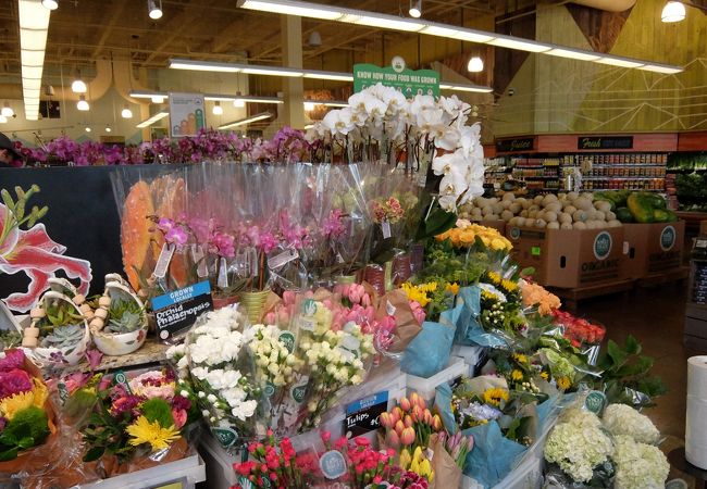 大型店がロスアルトスに