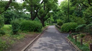 散策がオススメ