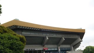 大きなタマネギ