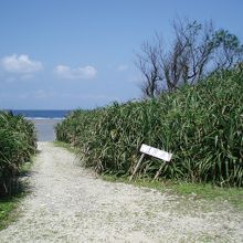 小さな小さな案内板が・・・