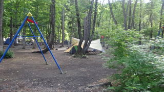 夏はグラススキーが楽しめる