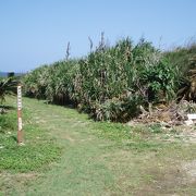 島の中央道路を一直線で・・・