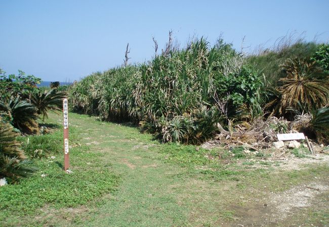 島の中央道路を一直線で・・・