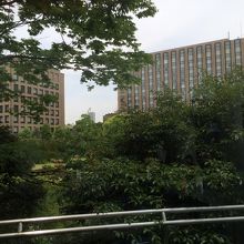 窓越しに見えるホテルと大隈庭園