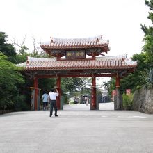 暑くて待ち切れなかったシャッターチャンス