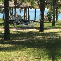 ビーチ寄りのプールの近くには、ハンモックもありました。