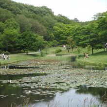 兵庫県立三木山森林公園で撮影