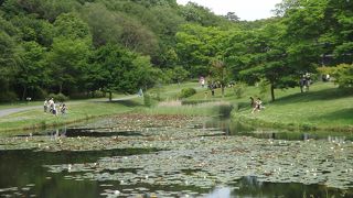 私の町・加古川と周辺　part8　(6)　 兵庫県立三木山森林公園