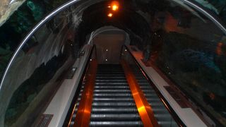 水遊びしない人もここは大丈夫