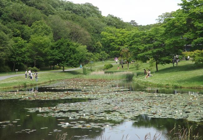 兵庫県立三木山森林公園 クチコミ アクセス 営業時間 三木 小野 フォートラベル