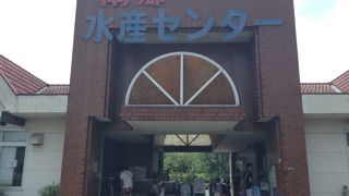 子供達は鯉のエサやりに夢中でした☆