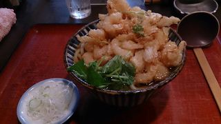 プリプリのえびがいっぱいのかき揚げが最高！