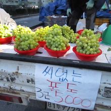 アレキサンドリアがとっても安かった　