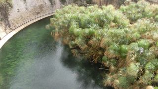 海岸線にある小さい池のようなものでした