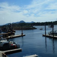 漁船が帰ってきました。大漁だったのかな〜？