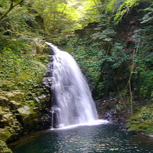 不動の滝です。