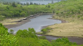 小さいけど、いい雰囲気