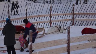 子供向けアトラクションが多い人工の村