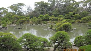 クロマツの庭園は　見事