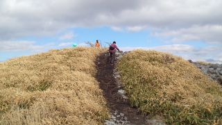 ビーナスラインの絶景