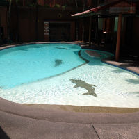 1階レストランに併設されているプール