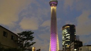 東京スカイツリーのライティングが良く見えます