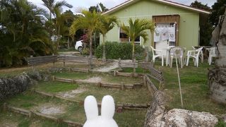南国雰囲気たっぷり漂う喫茶店　ドライブの休憩におススメ！　～「まなつのスパイスカフェ茶音間」～