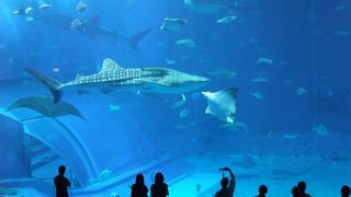 沖縄の定番観光スポット