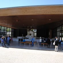 カトリック信者は皆、真剣に祈っています。