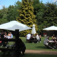 広いお庭で昼食を楽しむ人たち