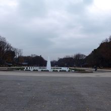 広いのでたくさん歩きます