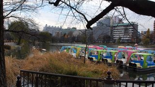 上野公園にある天然の池