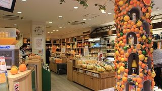 えひめ果実倶楽部みかんの木 ハイカラ通り店 