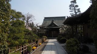 伊達家ゆかりのお寺