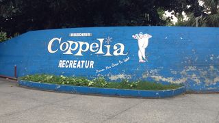 名が知れてるだけ＾＾；