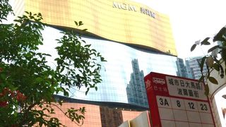 ライオンだけでなく、ヒツジもいました！