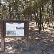 山陰海岸国立公園　part2　(7)　浜坂県民サンビーチキャンプ場