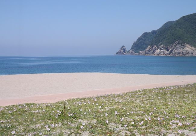 浜坂県民サンビーチ クチコミ アクセス 営業時間 浜坂 フォートラベル