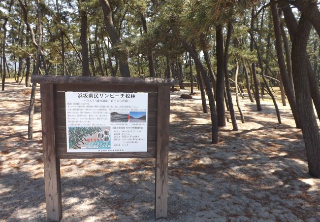 浜坂県民サンビーチキャンプ場